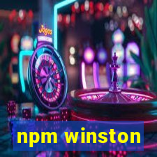 npm winston